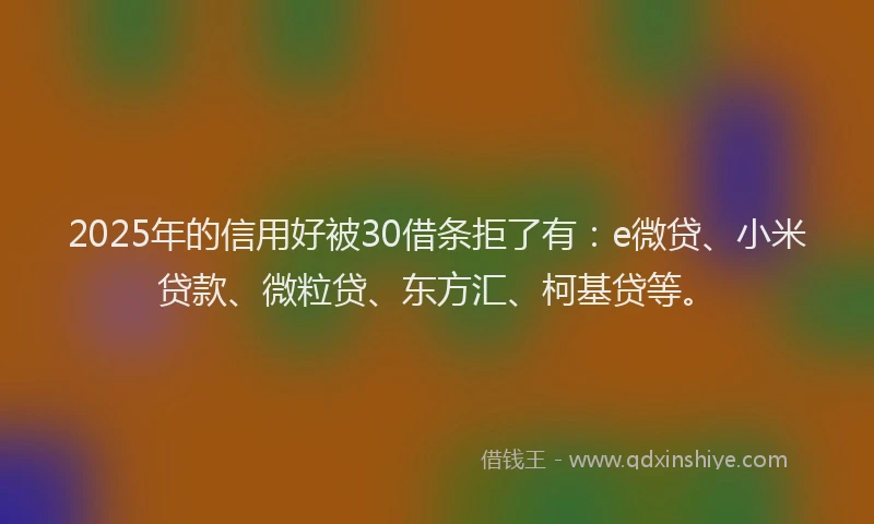 2025年的信用好被30借条拒了有：e微贷、小米贷款、微粒贷、东方汇、柯基贷等。