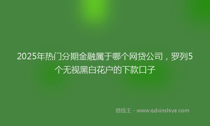 2025年热门分期金融属于哪个网贷公司，罗列5个无视黑白花户的下款口子
