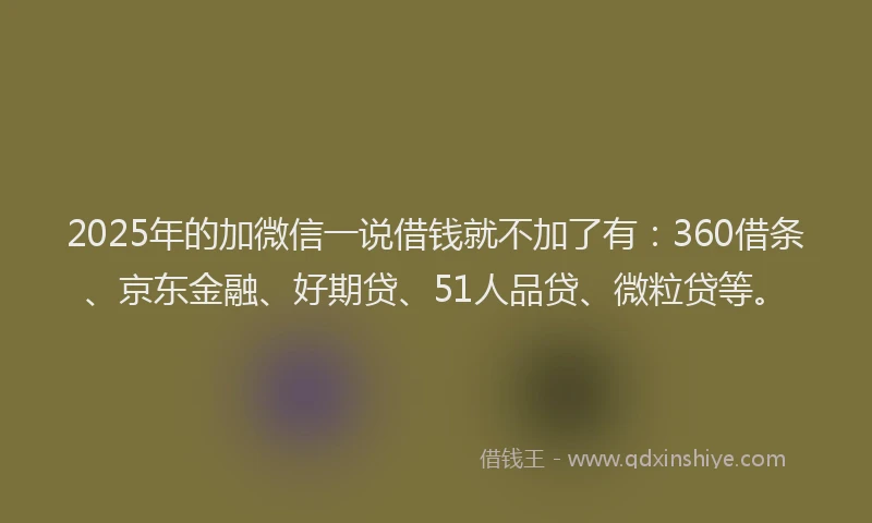 2025年的加微信一说借钱就不加了有：360借条、京东金融、好期贷、51人品贷、微粒贷等。