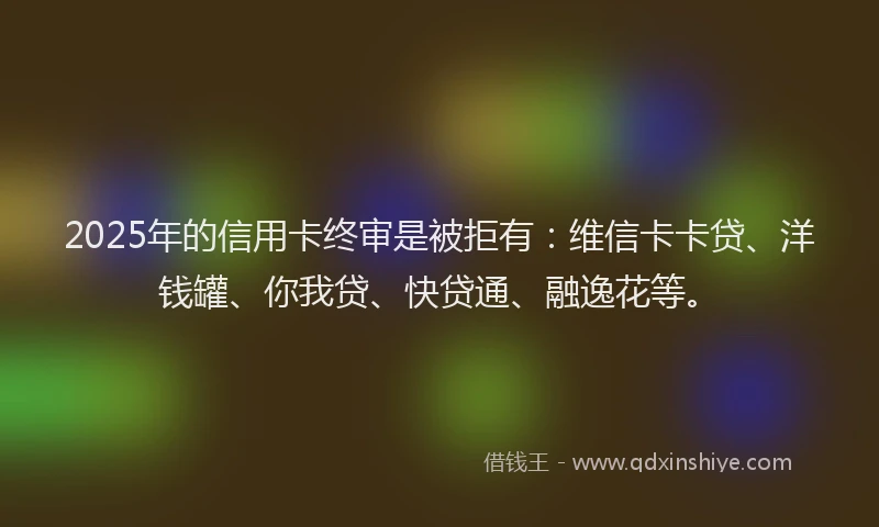 2025年的信用卡终审是被拒有：维信卡卡贷、洋钱罐、你我贷、快贷通、融逸花等。