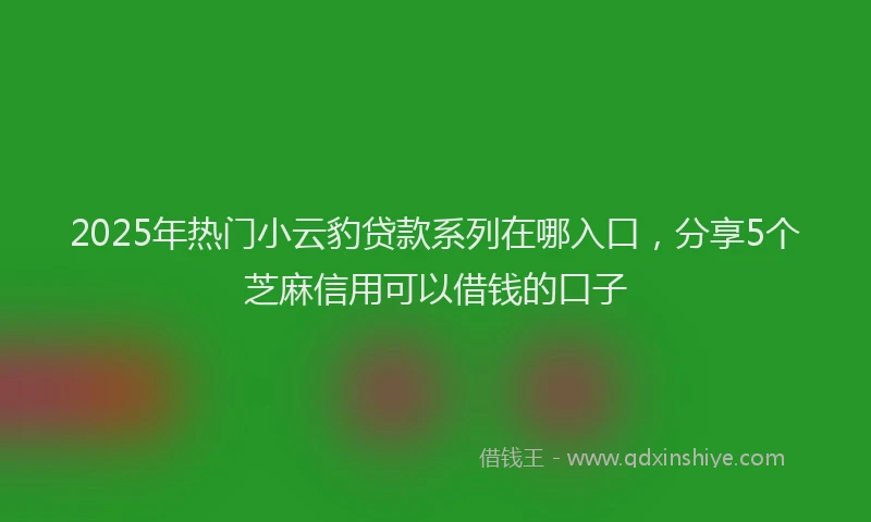 2025年热门小云豹贷款系列在哪入口，分享5个芝麻信用可以借钱的口子