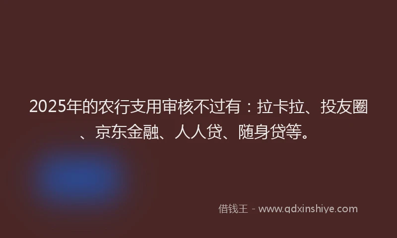 2025年的农行支用审核不过有：拉卡拉、投友圈、京东金融、人人贷、随身贷等。
