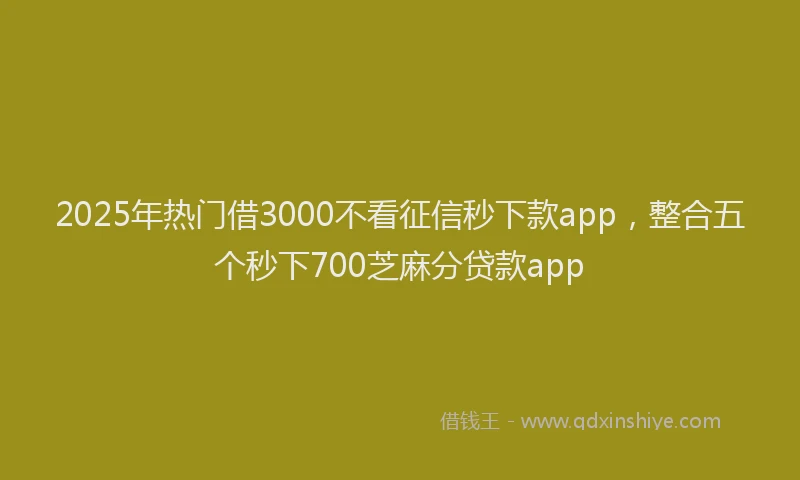 2025年热门借3000不看征信秒下款app，整合五个秒下700芝麻分贷款app