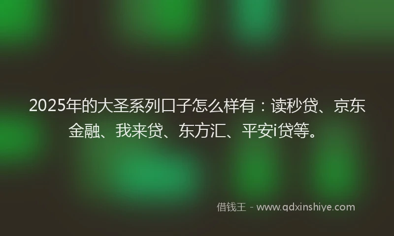 2025年的大圣系列口子怎么样有：读秒贷、京东金融、我来贷、东方汇、平安i贷等。