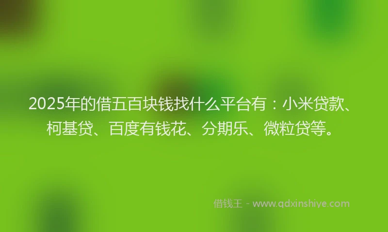 2025年的借五百块钱找什么平台有：小米贷款、柯基贷、百度有钱花、分期乐、微粒贷等。