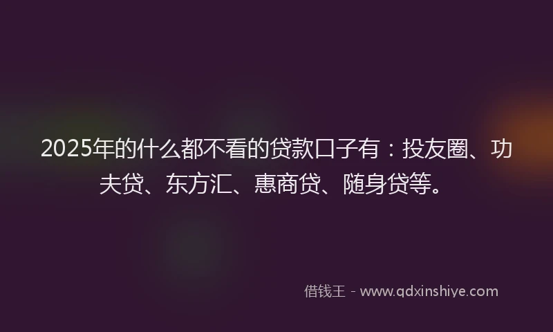 2025年的什么都不看的贷款口子有：投友圈、功夫贷、东方汇、惠商贷、随身贷等。