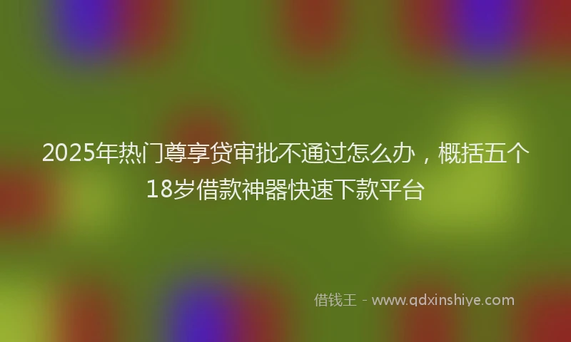 2025年热门尊享贷审批不通过怎么办，概括五个18岁借款神器快速下款平台
