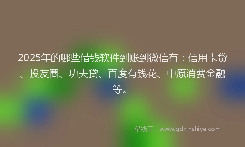 2025年的哪些借钱软件到账到微信有：信用卡贷、投友圈、功夫贷、百度有钱花、中原消费金融等。