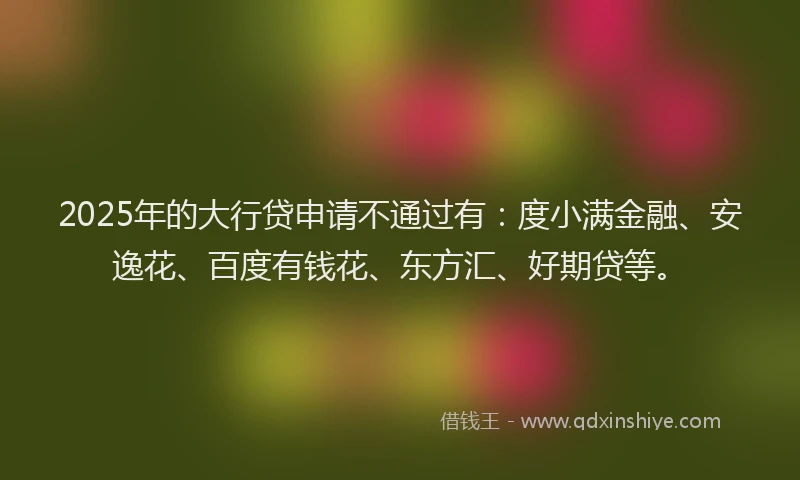 2025年的大行贷申请不通过有：度小满金融、安逸花、百度有钱花、东方汇、好期贷等。