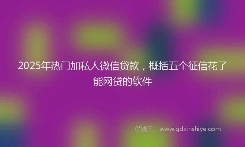 2025年热门加私人微信贷款，概括五个征信花了能网贷的软件