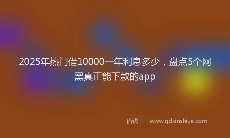 2025年热门借10000一年利息多少，盘点5个网黑真正能下款的app