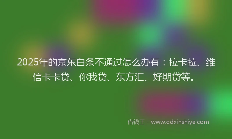 2025年的京东白条不通过怎么办有：拉卡拉、维信卡卡贷、你我贷、东方汇、好期贷等。