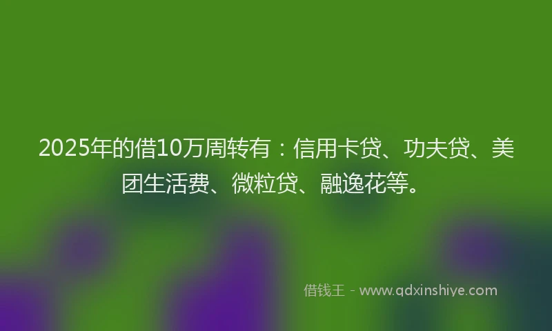 2025年的借10万周转有:信用卡贷、功夫贷、美团生活费、微粒贷、融逸花等。