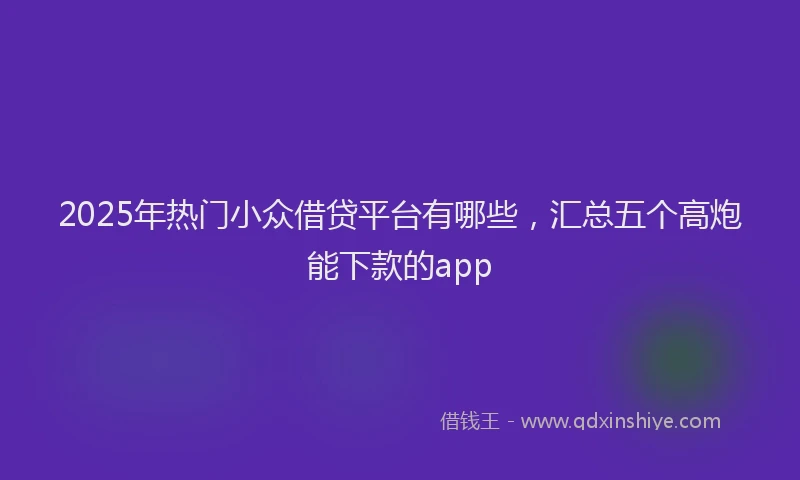 2025年热门小众借贷平台有哪些，汇总五个高炮能下款的app