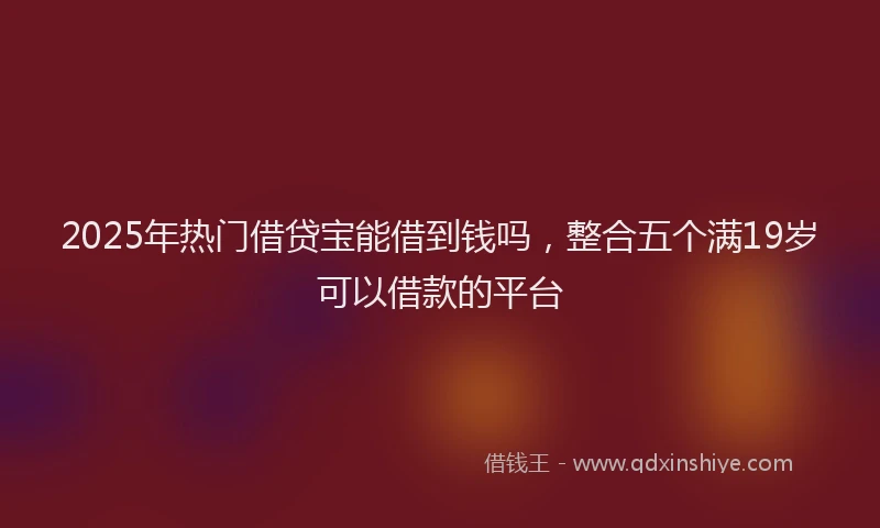 2025年热门借贷宝能借到钱吗，整合五个满19岁可以借款的平台