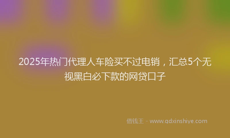 2025年热门代理人车险买不过电销，汇总5个无视黑白必下款的网贷口子