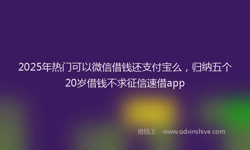 2025年热门可以微信借钱还支付宝么，归纳五个20岁借钱不求征信速借app