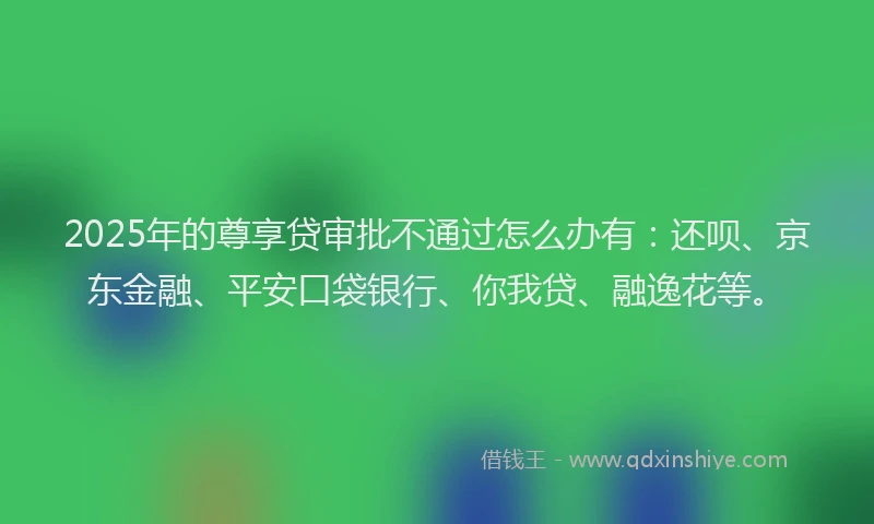 2025年的尊享贷审批不通过怎么办有：还呗、京东金融、平安口袋银行、你我贷、融逸花等。