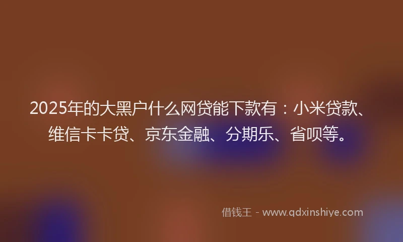 2025年的大黑户什么网贷能下款有：小米贷款、维信卡卡贷、京东金融、分期乐、省呗等。
