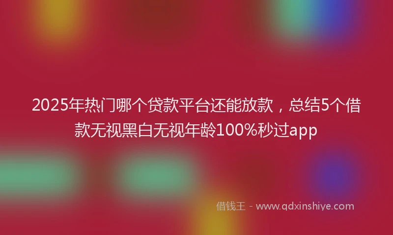2025年热门哪个贷款平台还能放款，总结5个借款无视黑白无视年龄100%秒过app