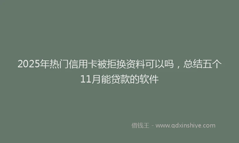 2025年热门信用卡被拒换资料可以吗，总结五个11月能贷款的软件