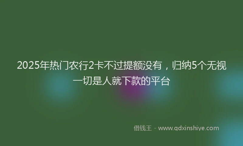 2025年热门农行2卡不过提额没有，归纳5个无视一切是人就下款的平台