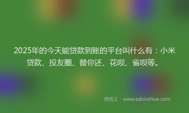 2025年的今天能贷款到账的平台叫什么有：小米贷款、投友圈、替你还、花呗、省呗等。