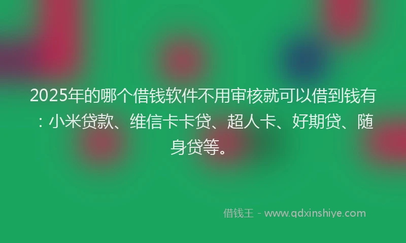 2025年的哪个借钱软件不用审核就可以借到钱有：小米贷款、维信卡卡贷、超人卡、好期贷、随身贷等。