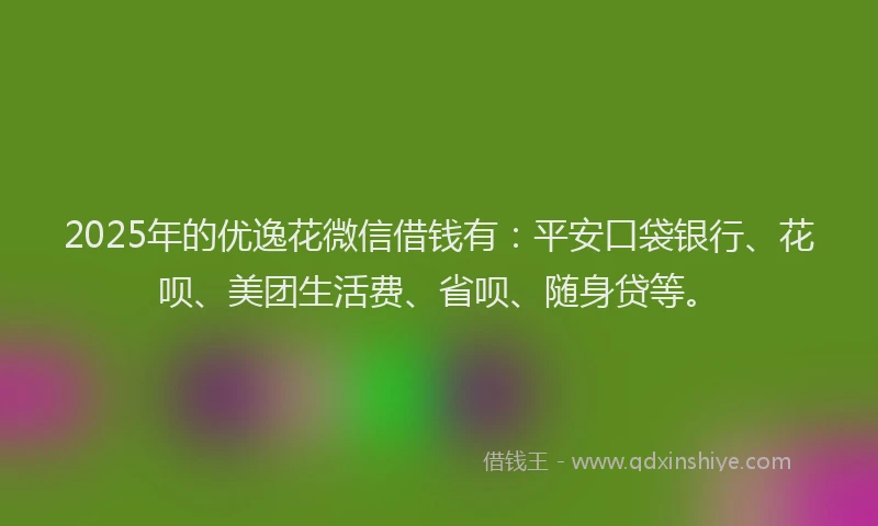 2025年的优逸花微信借钱有：平安口袋银行、花呗、美团生活费、省呗、随身贷等。