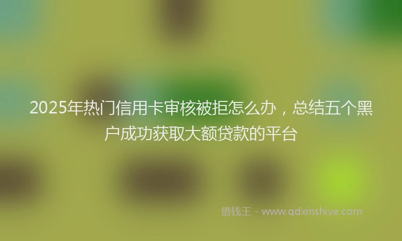 2025年热门信用卡审核被拒怎么办，总结五个黑户成功获取大额贷款的平台