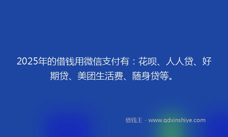 2025年的借钱用微信支付有：花呗、人人贷、好期贷、美团生活费、随身贷等。