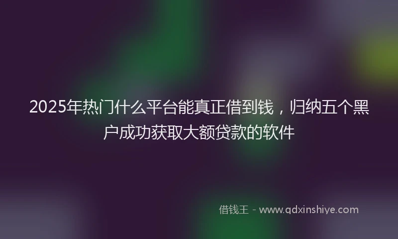 2025年热门什么平台能真正借到钱，归纳五个黑户成功获取大额贷款的软件