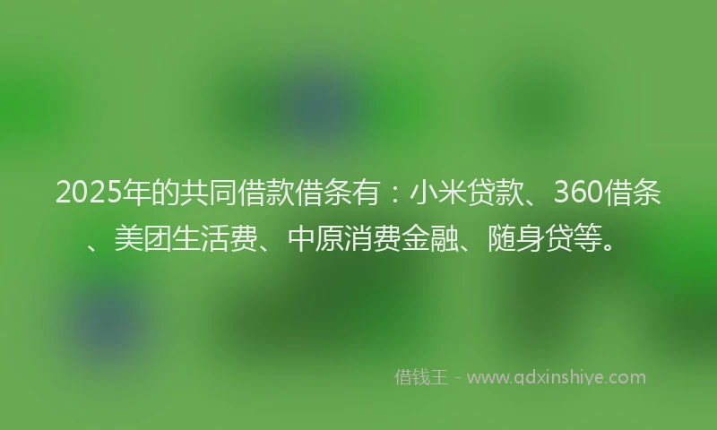 2025年的共同借款借条有：小米贷款、360借条、美团生活费、中原消费金融、随身贷等。