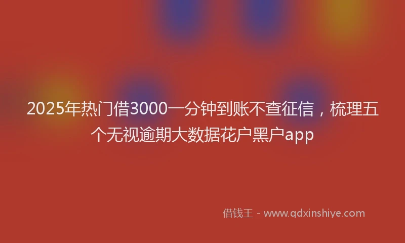 2025年热门借3000一分钟到账不查征信，梳理五个无视逾期大数据花户黑户app
