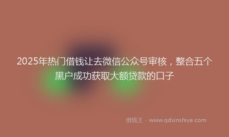2025年热门借钱让去微信公众号审核，整合五个黑户成功获取大额贷款的口子