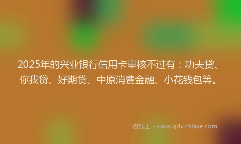 2025年的兴业银行信用卡审核不过有：功夫贷、你我贷、好期贷、中原消费金融、小花钱包等。