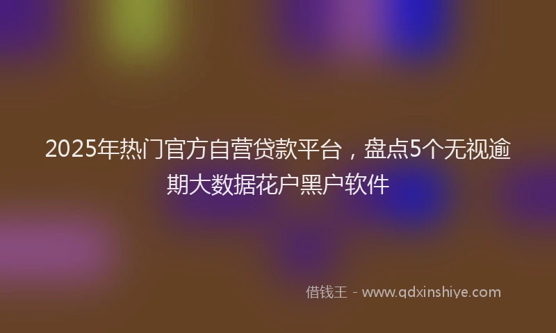 2025年热门官方自营贷款平台，盘点5个无视逾期大数据花户黑户软件