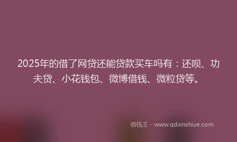 2025年的借了网贷还能贷款买车吗有：还呗、功夫贷、小花钱包、微博借钱、微粒贷等。