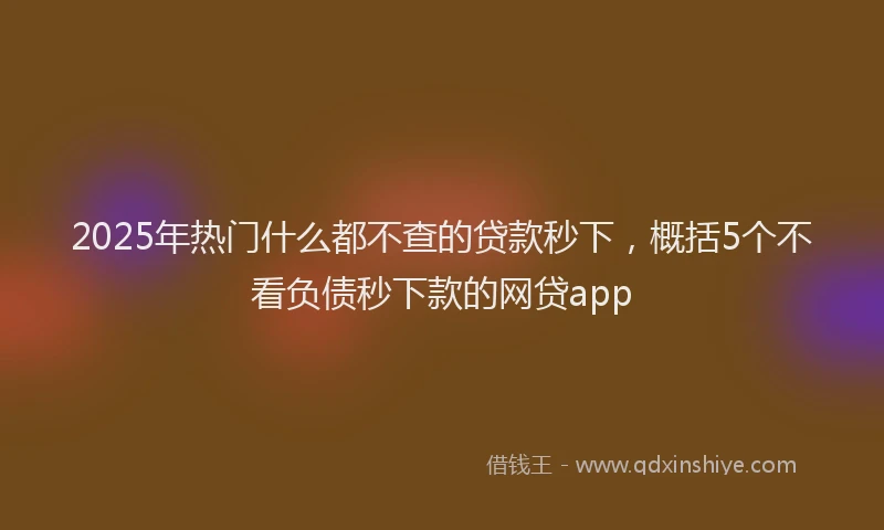2025年热门什么都不查的贷款秒下，概括5个不看负债秒下款的网贷app