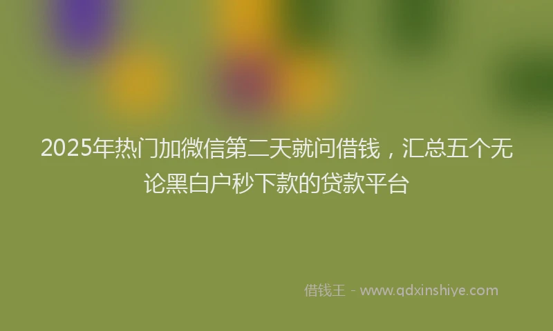 2025年热门加微信第二天就问借钱，汇总五个无论黑白户秒下款的贷款平台