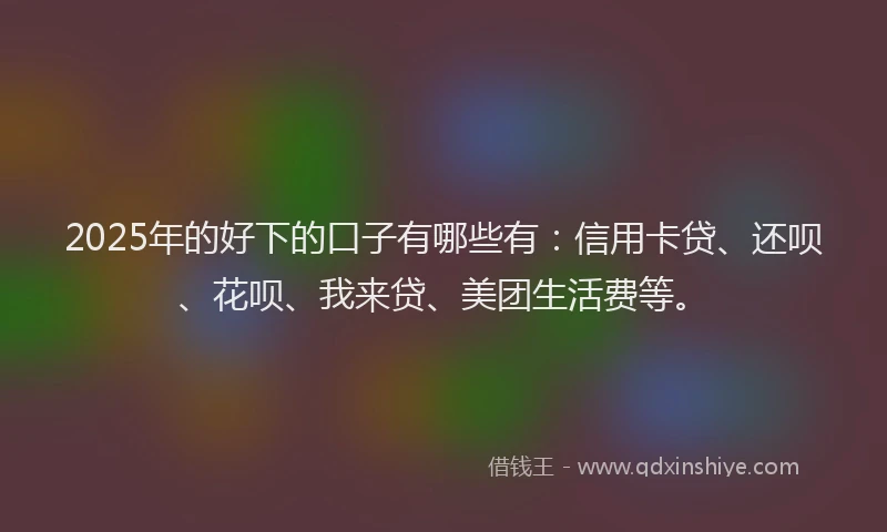 2025年的好下的口子有哪些有：信用卡贷、还呗、花呗、我来贷、美团生活费等。