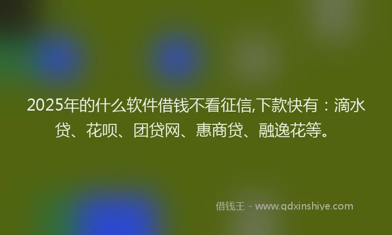 2025年的什么软件借钱不看征信,下款快有：滴水贷、花呗、团贷网、惠商贷、融逸花等。