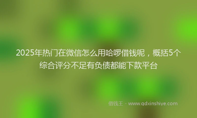 2025年热门在微信怎么用哈啰借钱呢，概括5个综合评分不足有负债都能下款平台