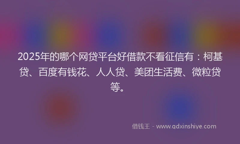2025年的哪个网贷平台好借款不看征信有：柯基贷、百度有钱花、人人贷、美团生活费、微粒贷等。