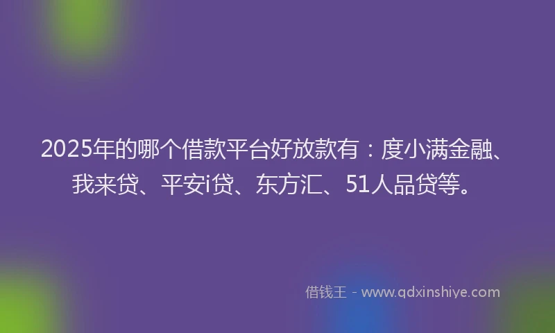 2025年的哪个借款平台好放款有：度小满金融、我来贷、平安i贷、东方汇、51人品贷等。