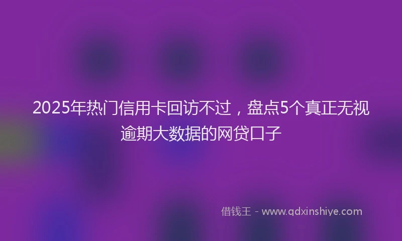2025年热门信用卡回访不过，盘点5个真正无视逾期大数据的网贷口子