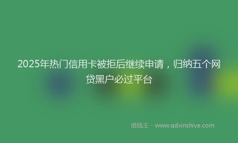 2025年热门信用卡被拒后继续申请，归纳五个网贷黑户必过平台
