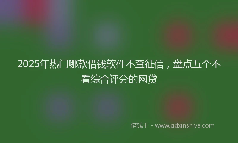 2025年热门哪款借钱软件不查征信，盘点五个不看综合评分的网贷