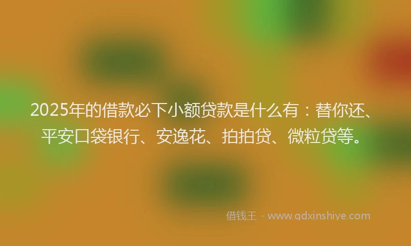 2025年的借款必下小额贷款是什么有：替你还、平安口袋银行、安逸花、拍拍贷、微粒贷等。