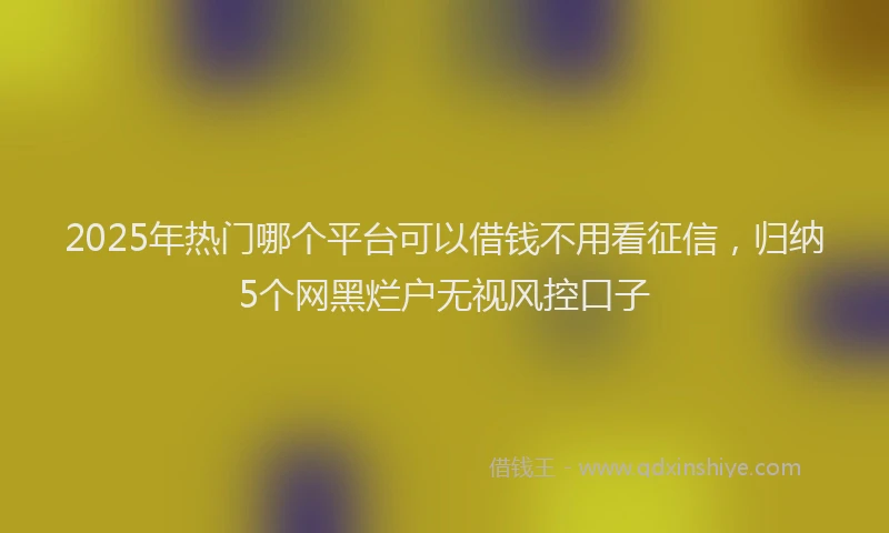 2025年热门哪个平台可以借钱不用看征信，归纳5个网黑烂户无视风控口子